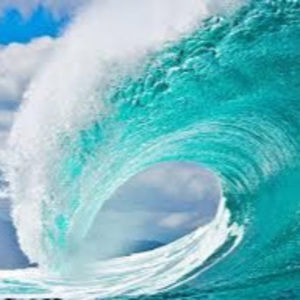 Meet your Posher, Steve